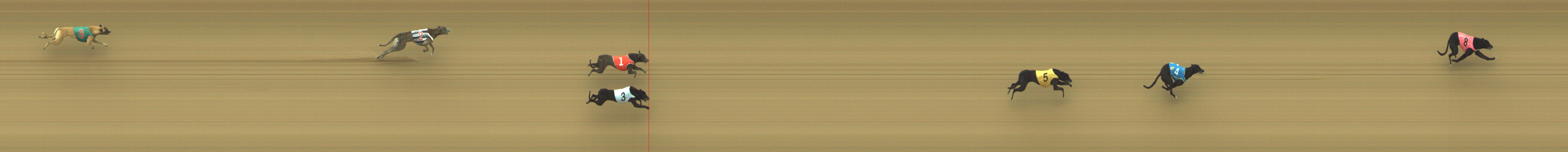 Photo finish for Geelong Race 3