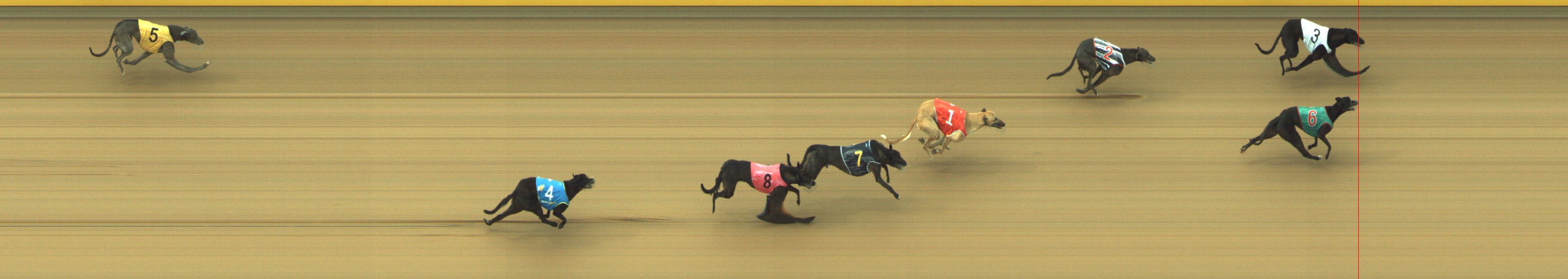 Photo finish for Geelong Race 4