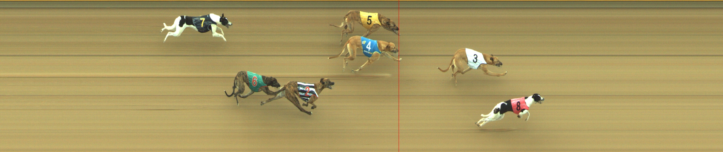 Photo finish for Geelong Race 5