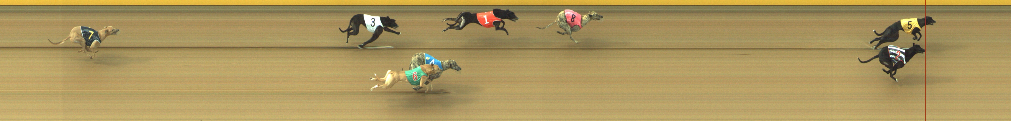 Photo finish for Geelong Race 6