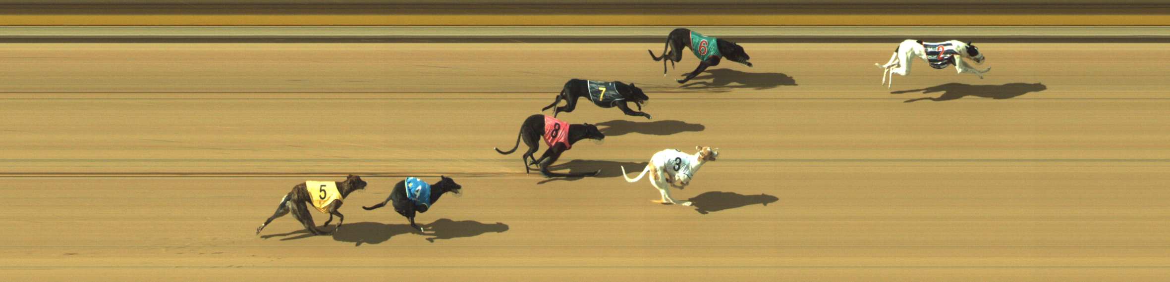 Photo finish for Geelong Race 7