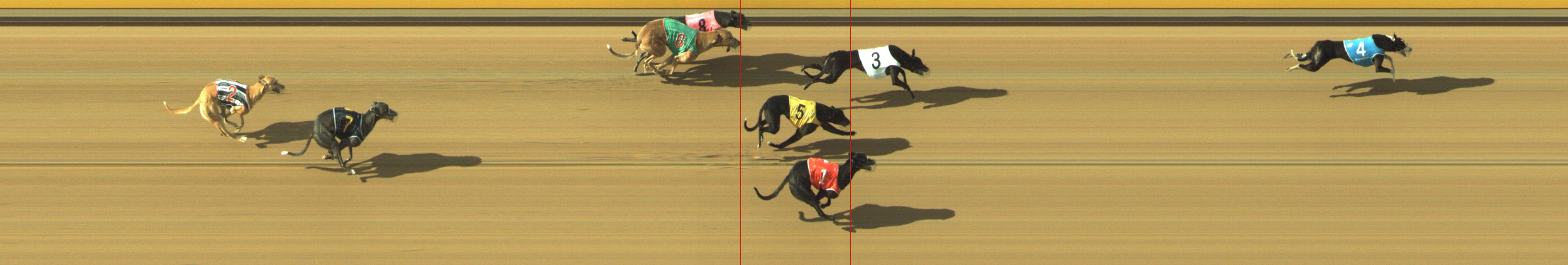 Photo finish for Geelong Race 8