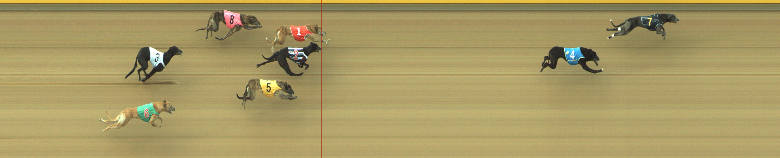 Photo finish for Geelong Race 9