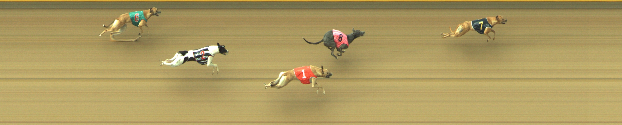 Photo finish for Geelong Race 10