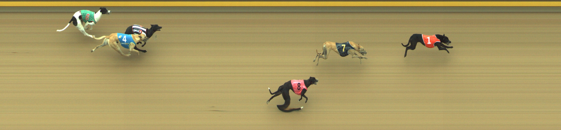 Photo finish for Geelong Race 11