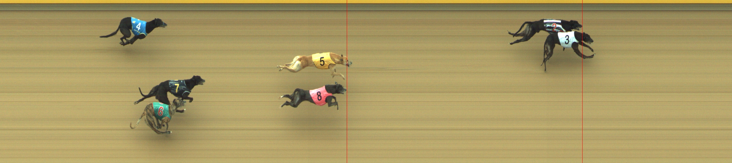 Photo finish for Geelong Race 12