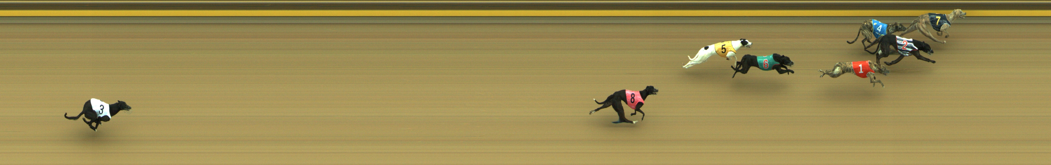 Photo finish for Geelong Race 2