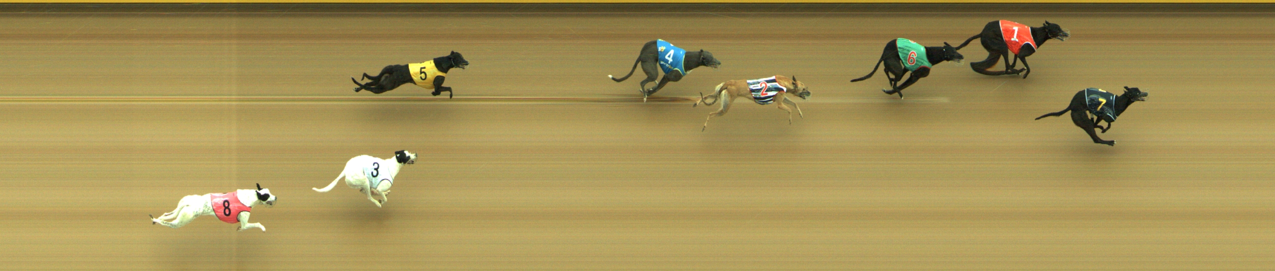 Photo finish for Geelong Race 3
