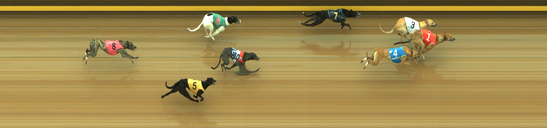 Photo finish for Geelong Race 4