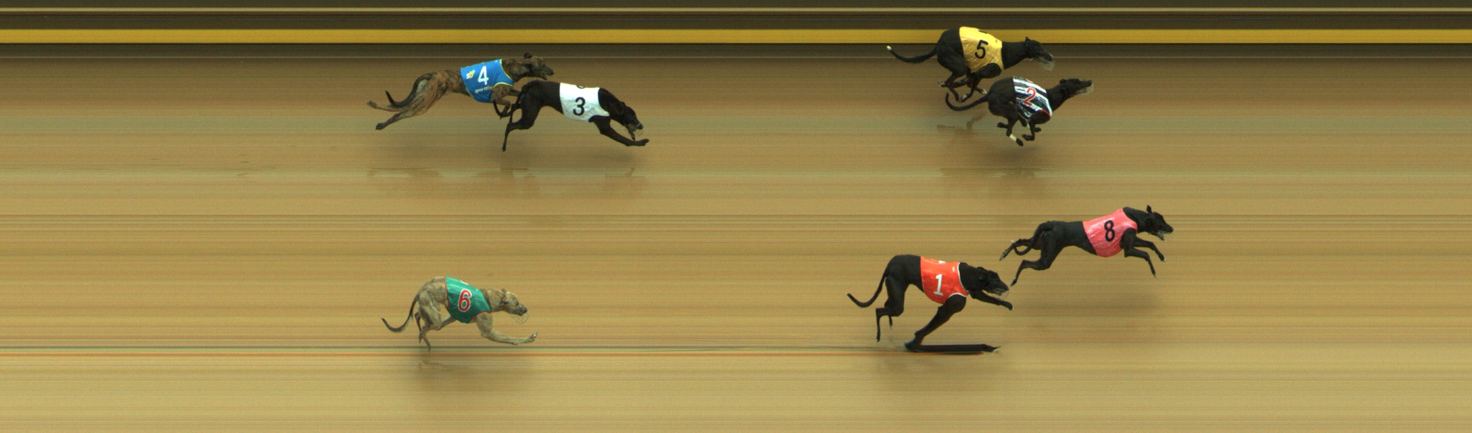 Photo finish for Geelong Race 5