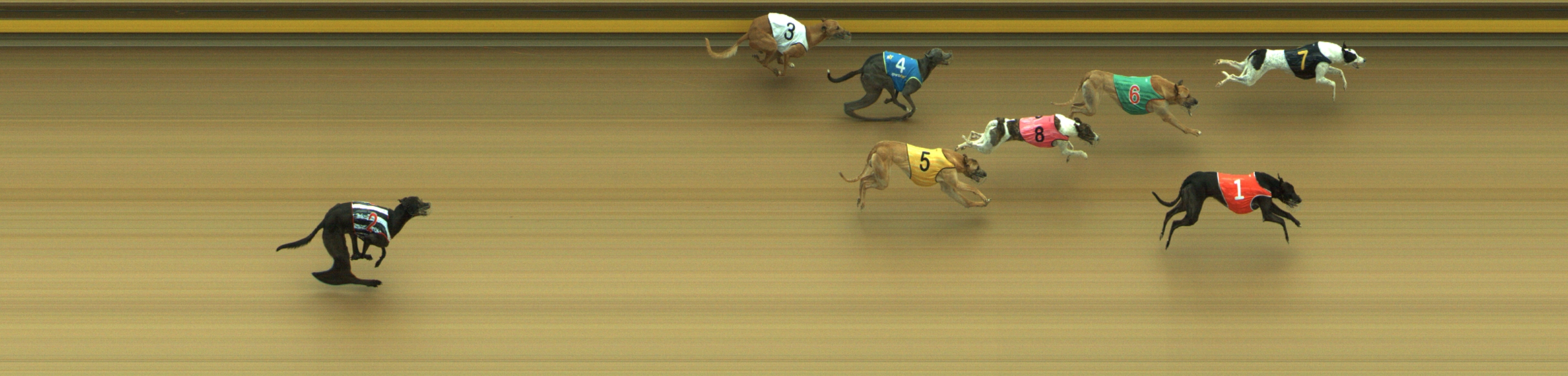 Photo finish for Geelong Race 6