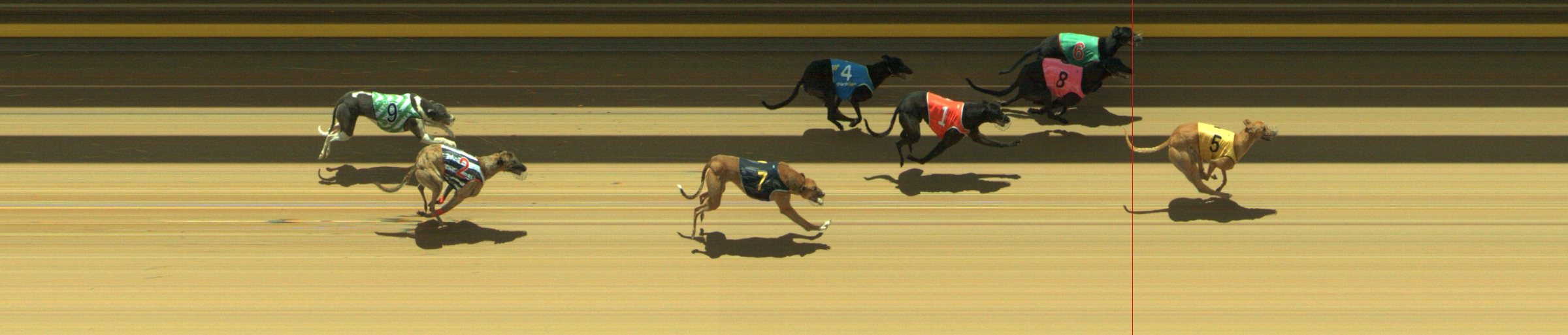 Photo finish for Geelong Race 7