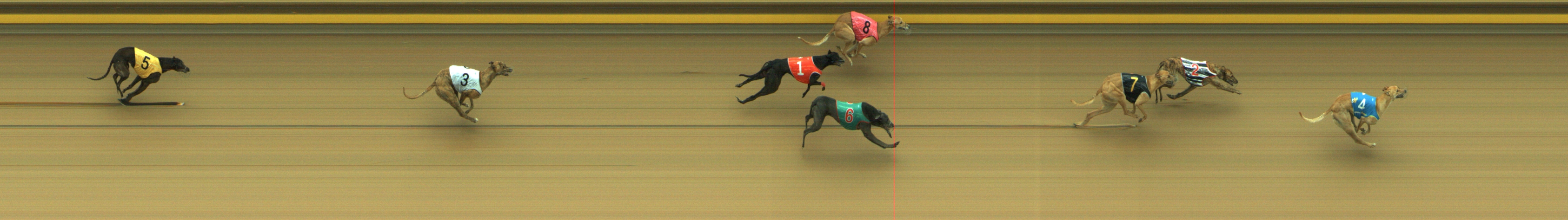 Photo finish for Geelong Race 8