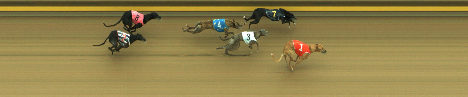 Photo finish for Geelong Race 9