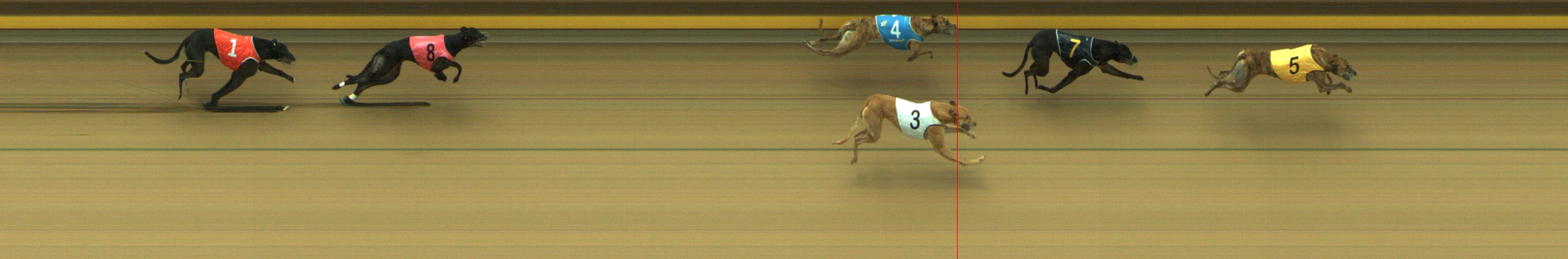 Photo finish for Geelong Race 10