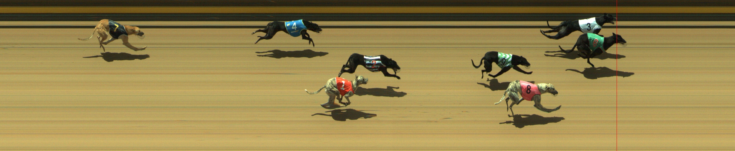 Photo finish for Geelong Race 11