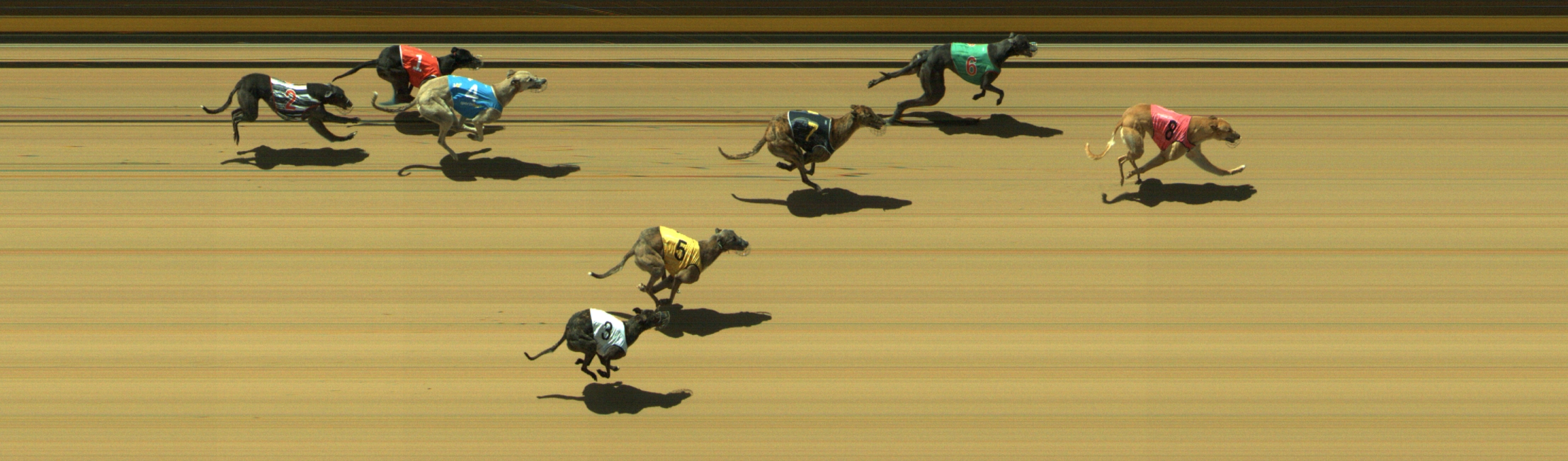 Photo finish for Geelong Race 12