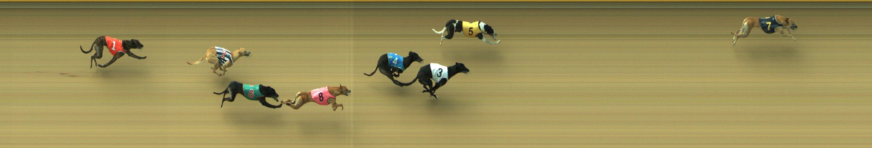 Photo finish for Geelong Race 13