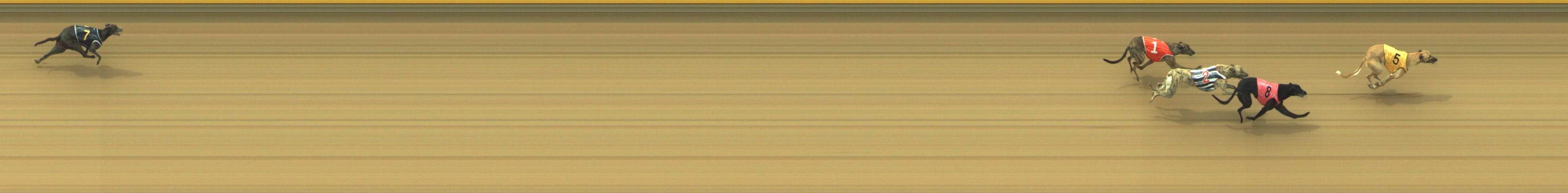 Photo finish for Geelong Race 1