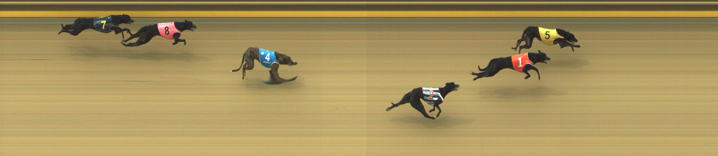 Photo finish for Geelong Race 2