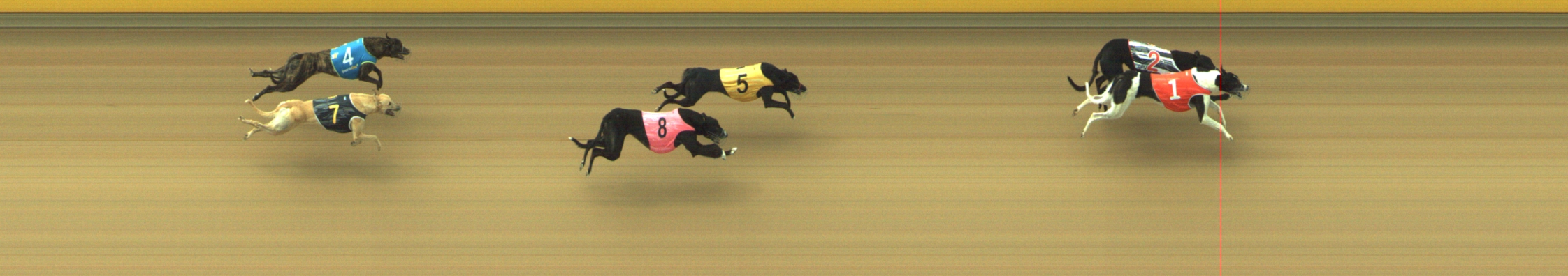 Photo finish for Geelong Race 3