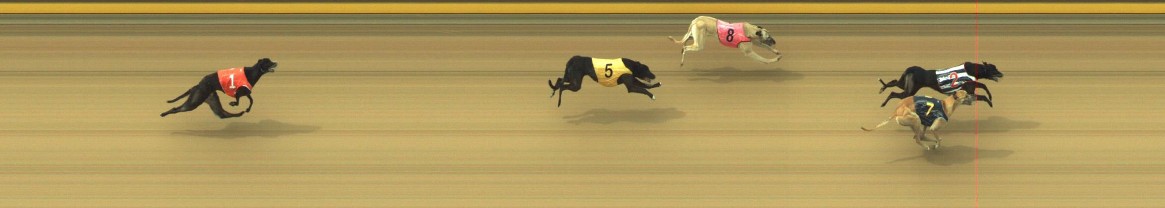 Photo finish for Geelong Race 4