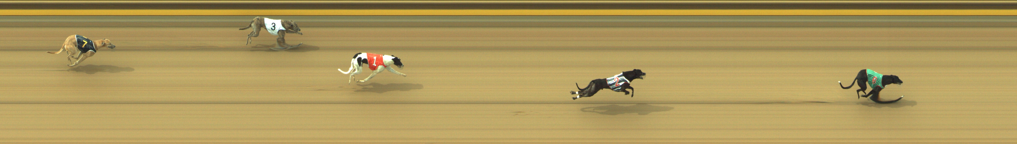 Photo finish for Geelong Race 5