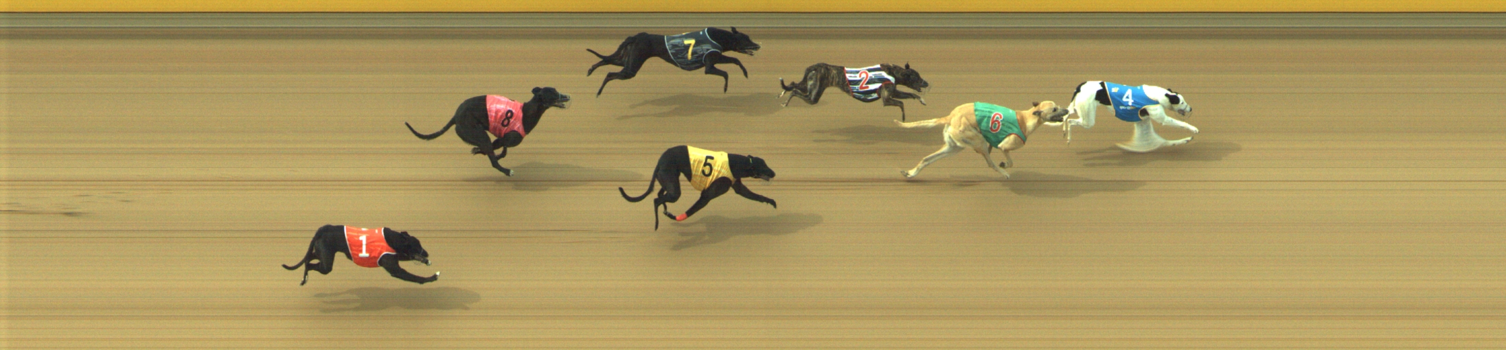 Photo finish for Geelong Race 6