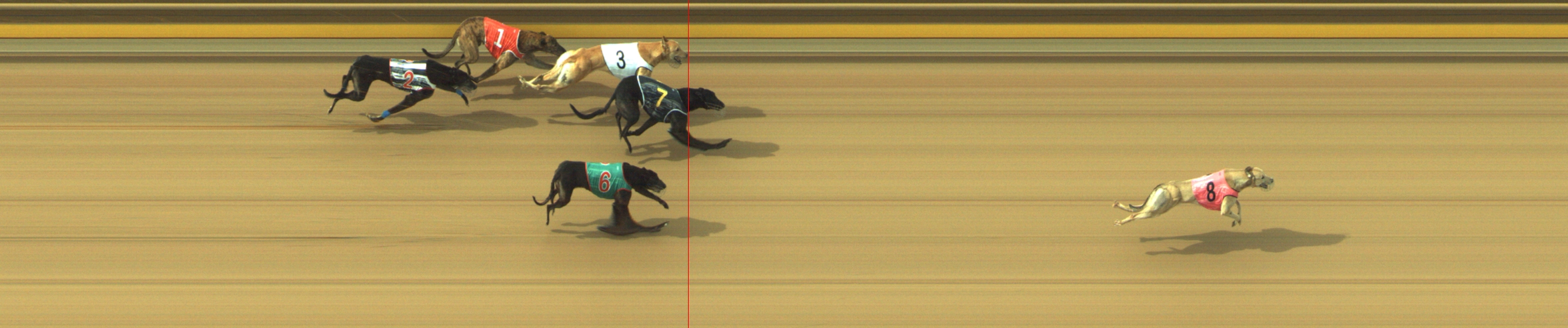 Photo finish for Geelong Race 7