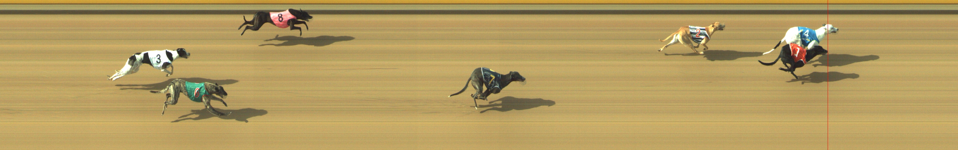 Photo finish for Geelong Race 8