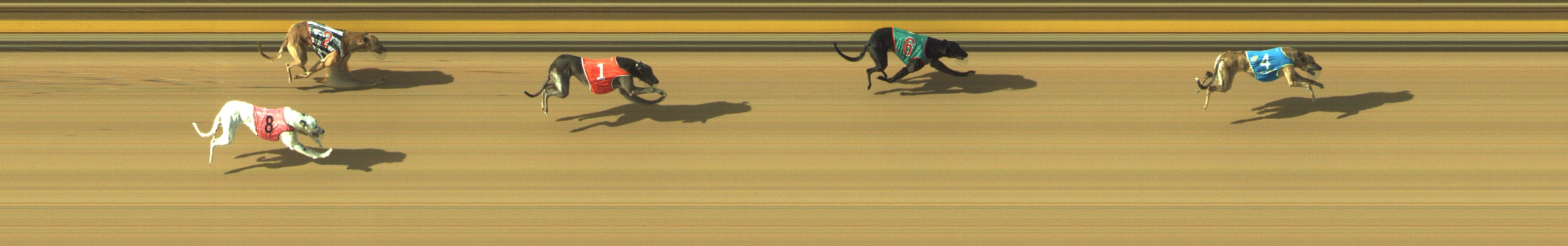 Photo finish for Geelong Race 9