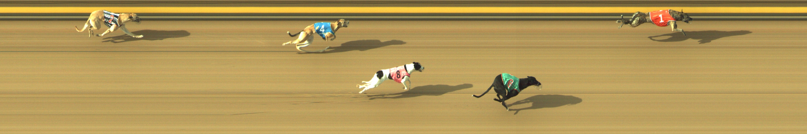 Photo finish for Geelong Race 10