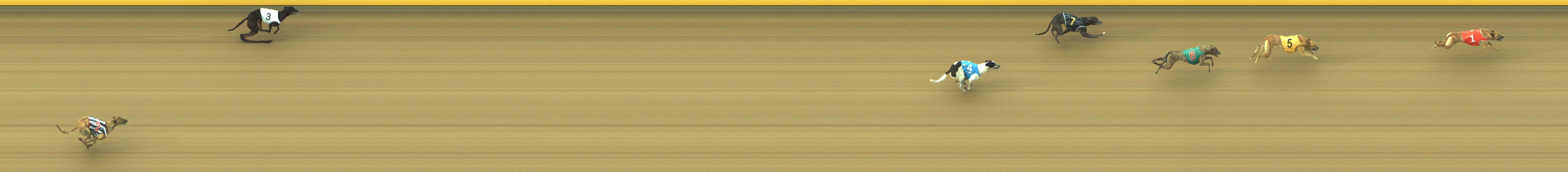 Photo finish for Geelong Race 11