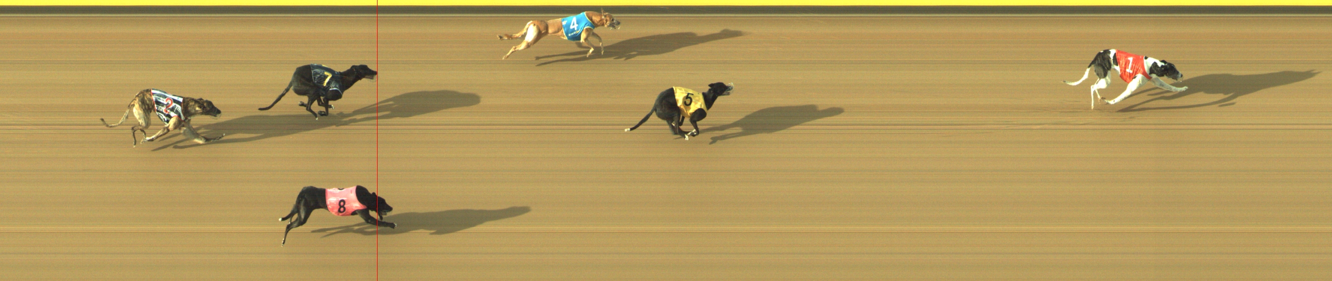 Photo finish for Geelong Race 12