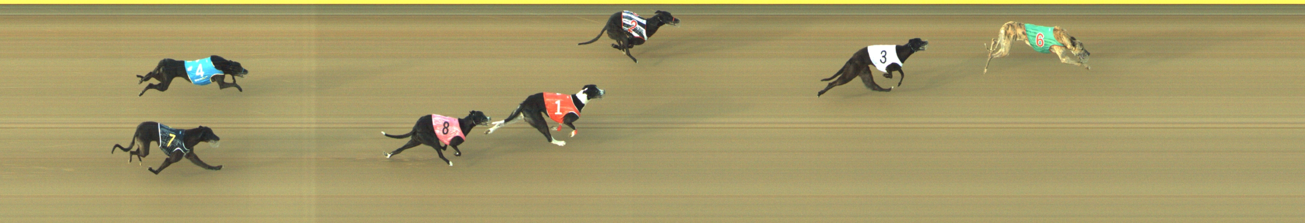 Photo finish for Geelong Race 13