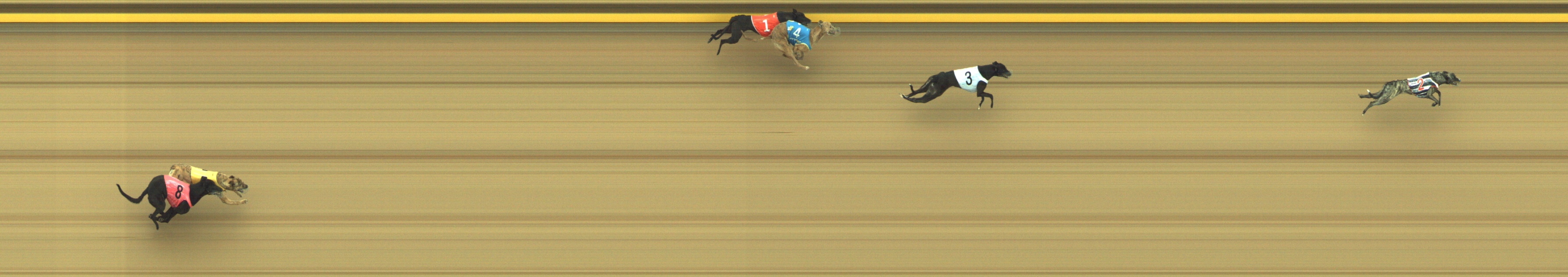 Race result finish photo