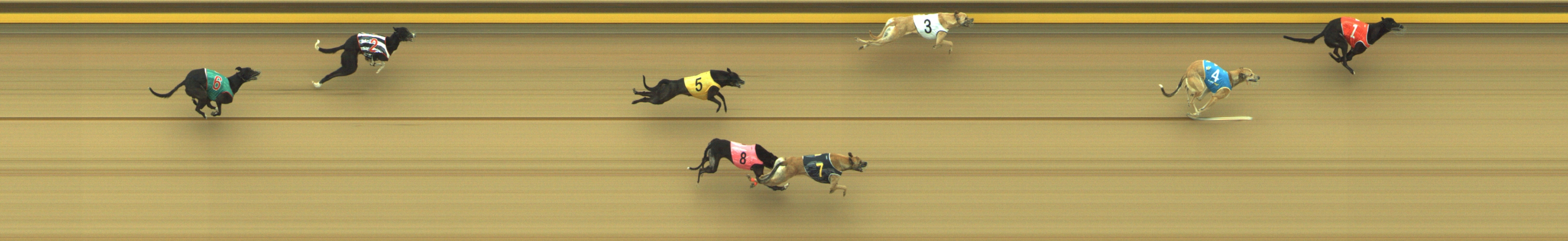 Race result finish photo