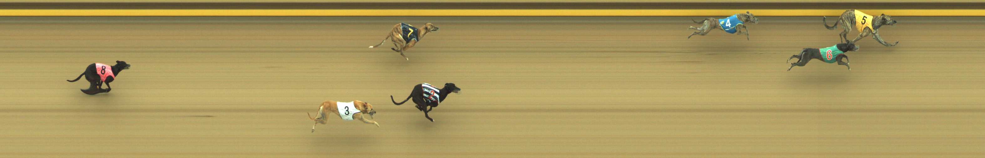 Race result finish photo