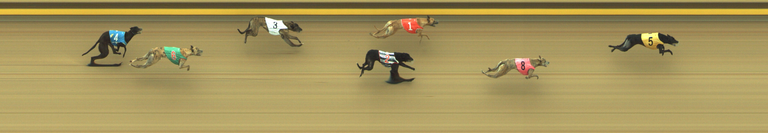 Race result finish photo