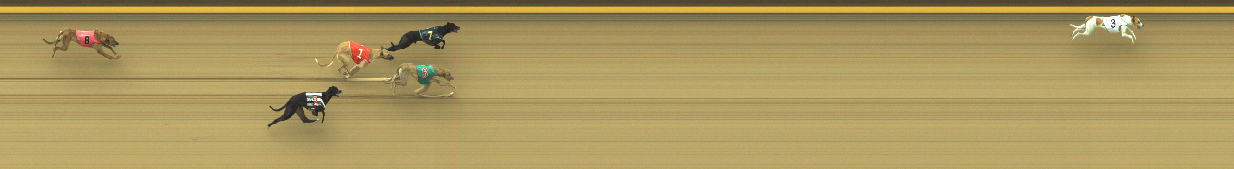 Race result finish photo