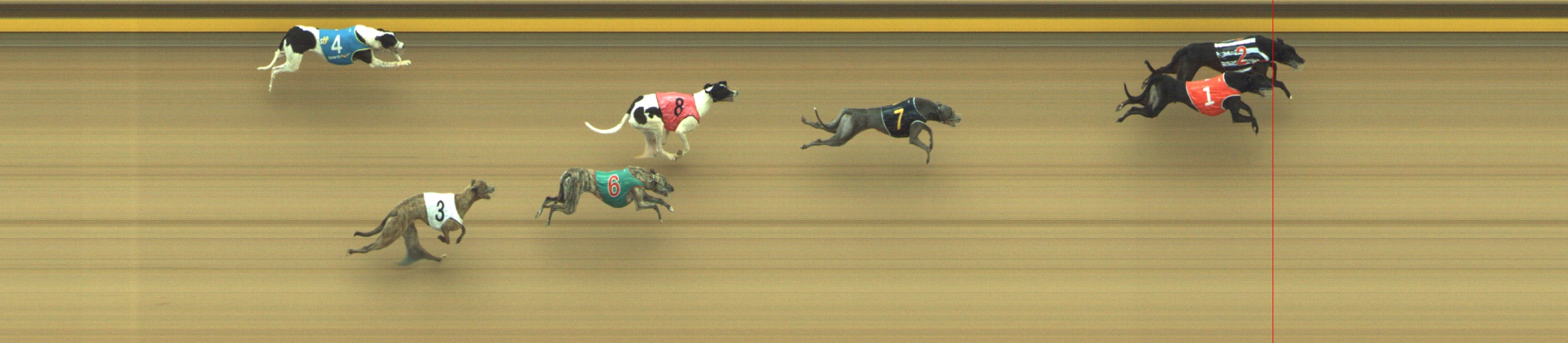 Race result finish photo