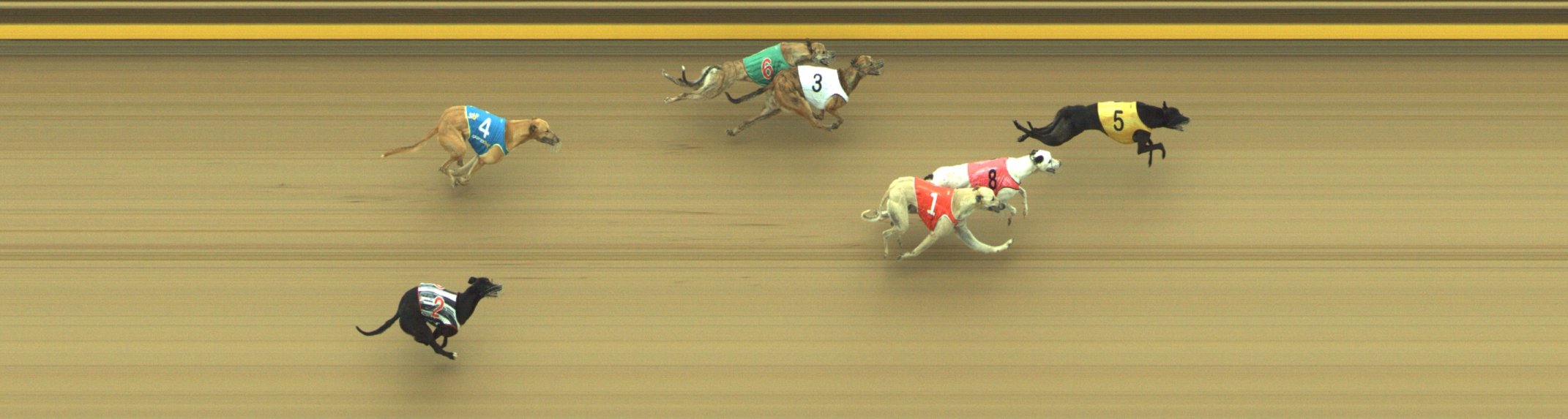 Race result finish photo