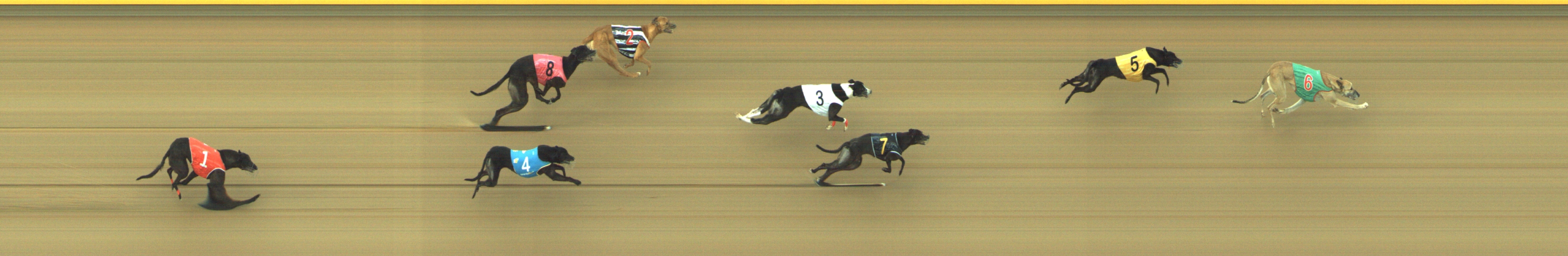 Race result finish photo