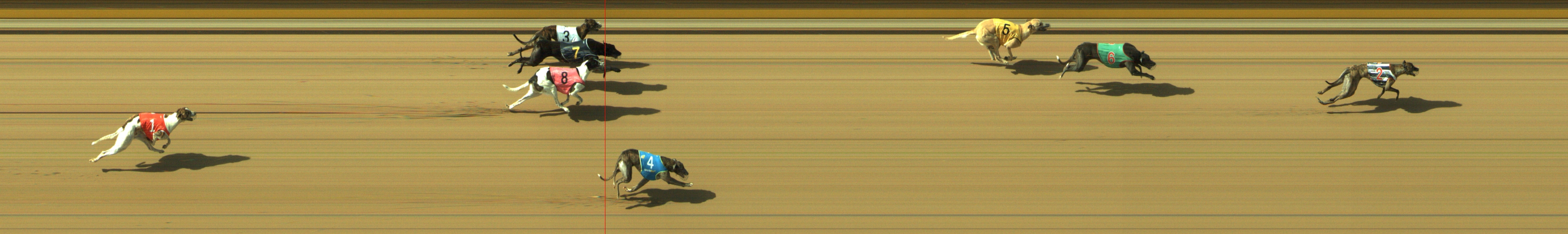 Photo finish for Geelong Race 7