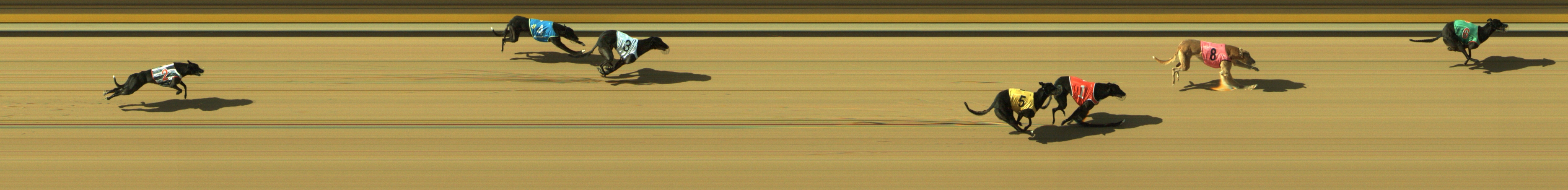 Photo finish for Geelong Race 8