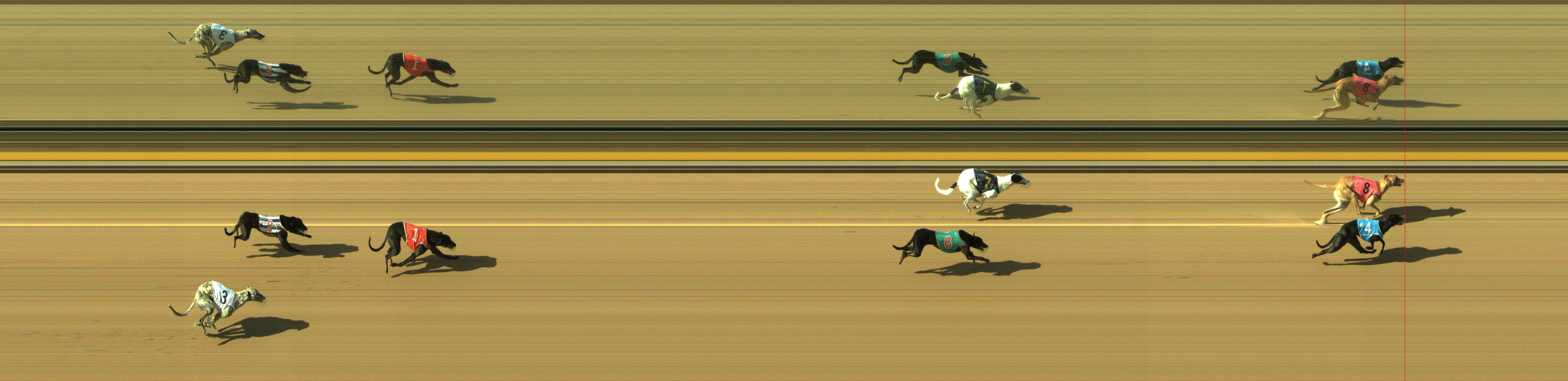 Photo finish for Geelong Race 9