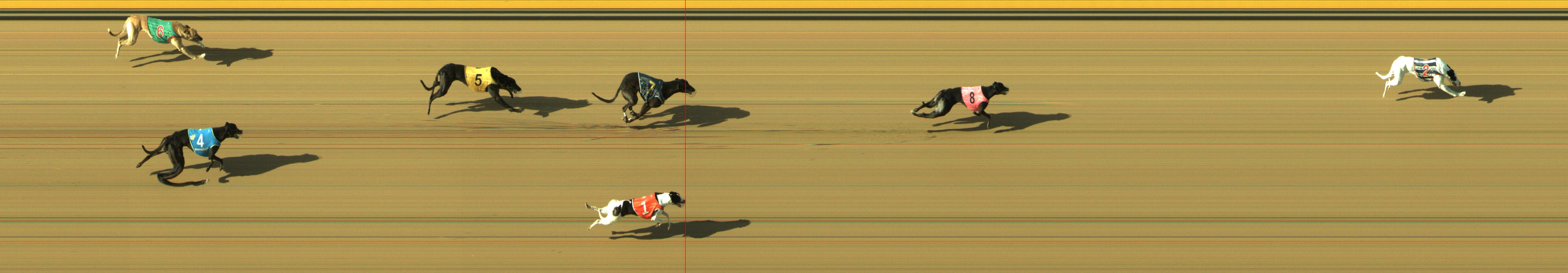 Photo finish for Geelong Race 10