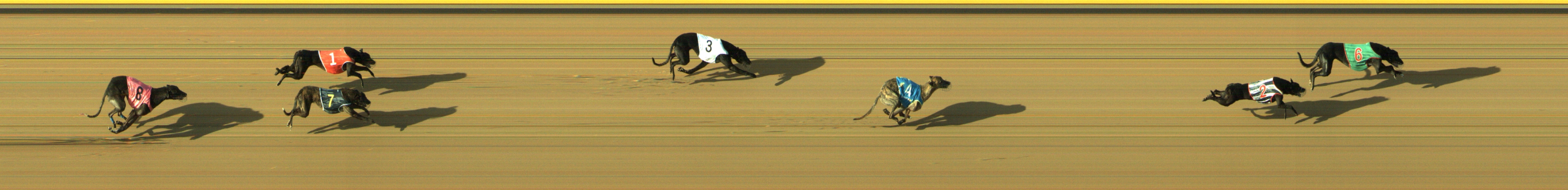 Photo finish for Geelong Race 11