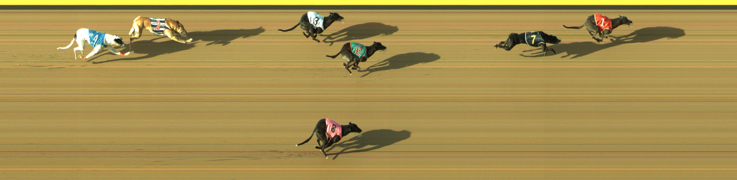 Photo finish for Geelong Race 12