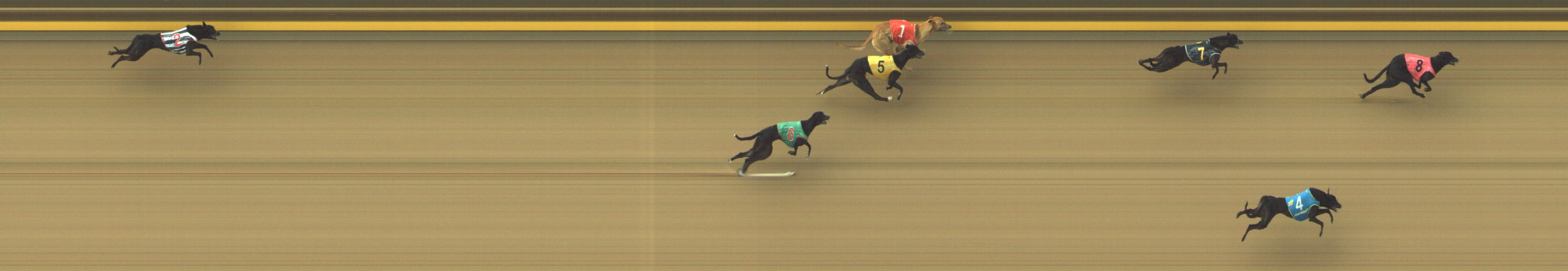 Race result finish photo